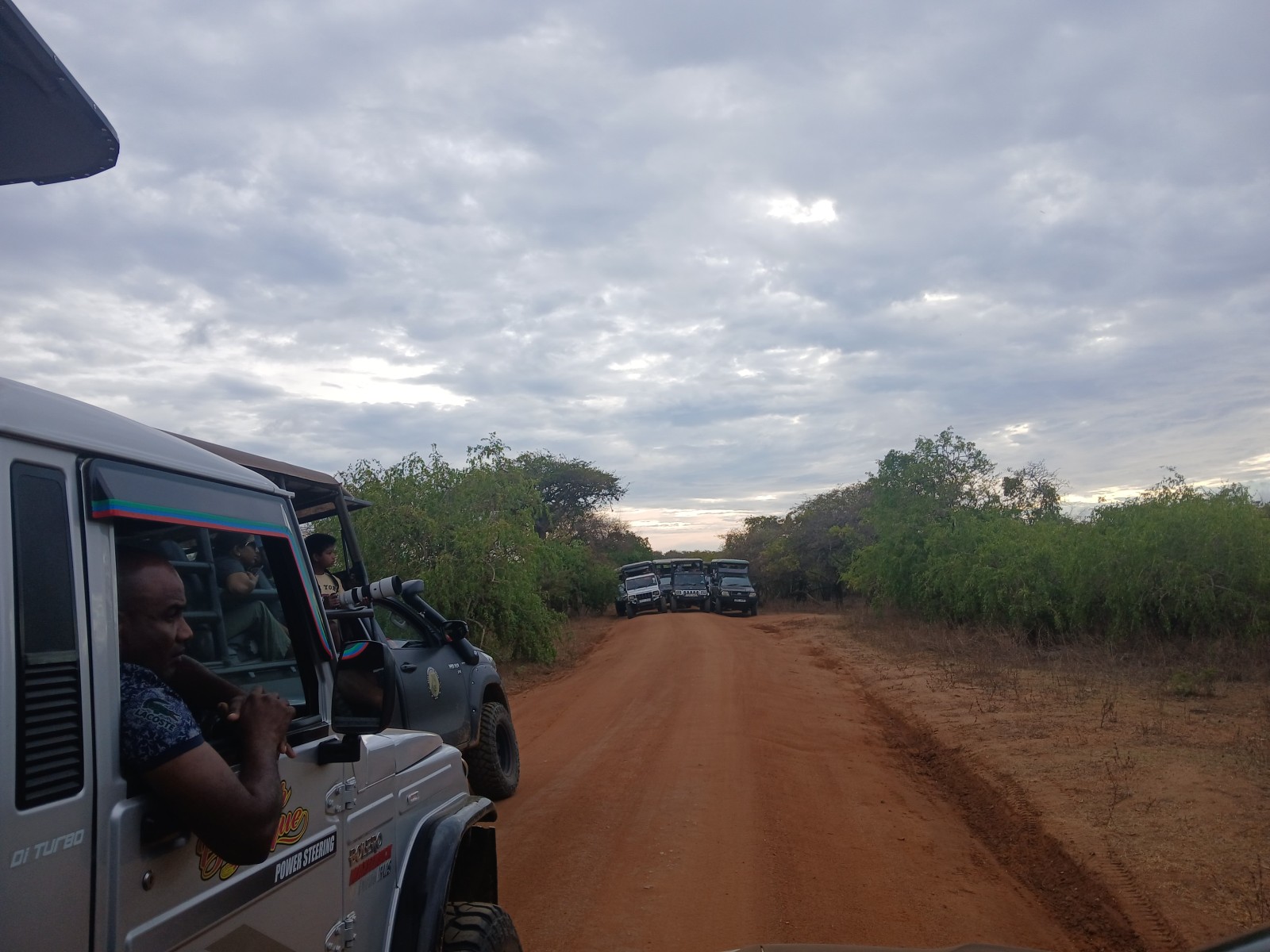 Minneriya National Park Safari Adventure | Private Jeep Safari Sri Lanka